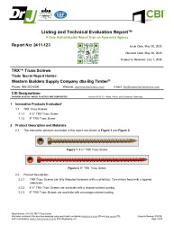 2411-123 REPORT
