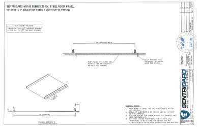 PR Instl Docs FL46113 R4 II NS100SHZ Dwg