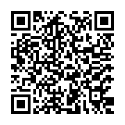 Buzon Pedestal International S.A. Listing QR Code
