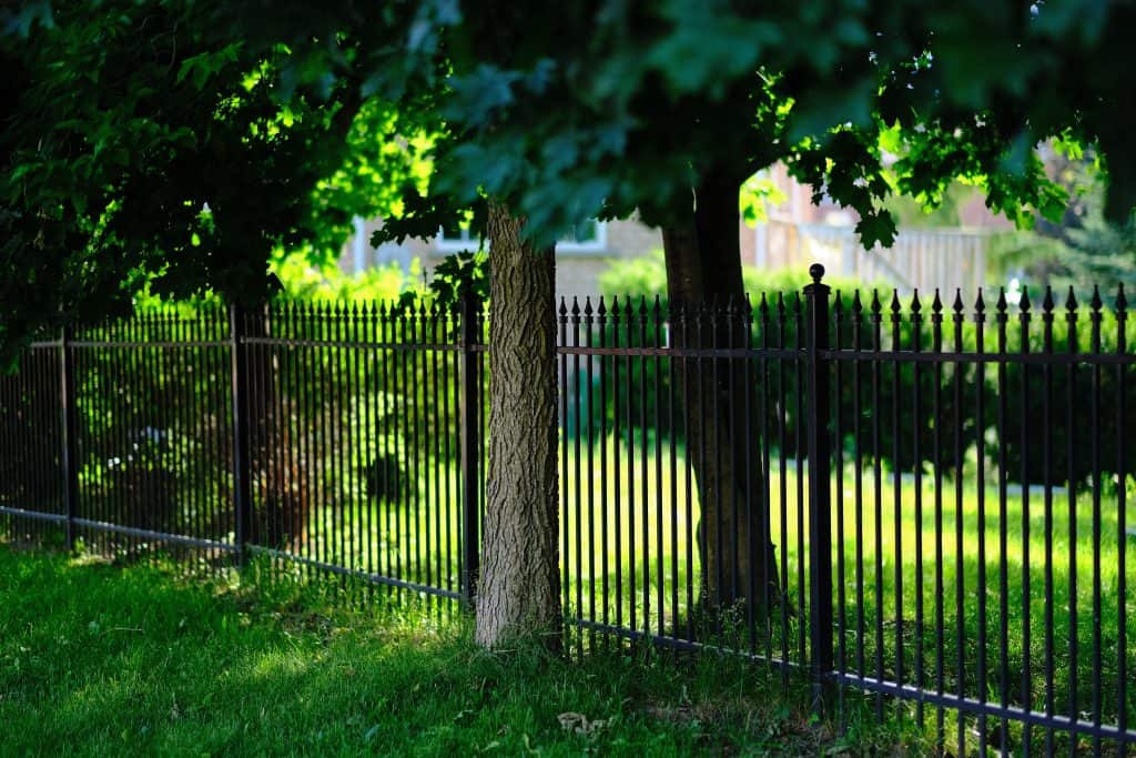 black picket fence in grass