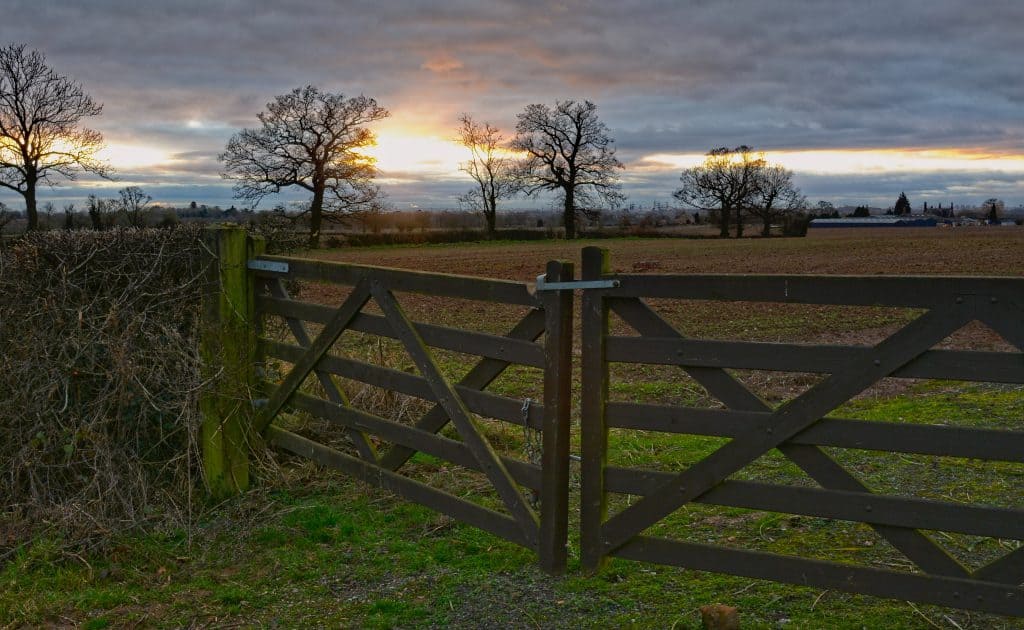 wood gate in grass with sky